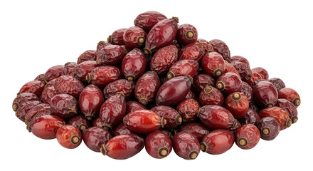 Isolated Pile of Dried Rosehips