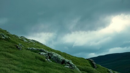 Fototapeta premium Scenic view of field against sky