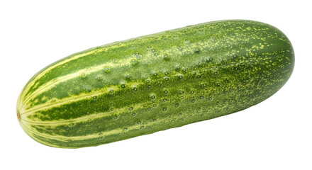 Isolated Fresh Cucumber
