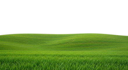 Ultra realistic UHD photograph of a vast panorama of vibrant green, gently rolling hills with textured young grass, sharply rendered blades in foreground, against a pure clean white background with
