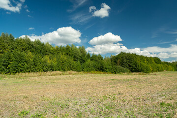 Stubble field with green forest and white clouds in the blue sky, view in Wolka Czulczycka in eastern Poland
