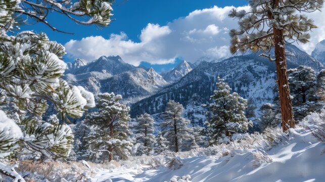 A snowy landscape with snow covered trees and mountains under a partly cloudy blue sky in winter time