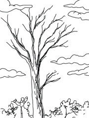 tree sketch nature outline drawing .eps