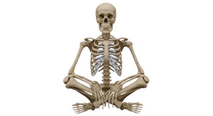 Isolated Skeleton