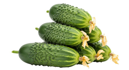 Isolated Stack of Fresh Green Cucumbers
