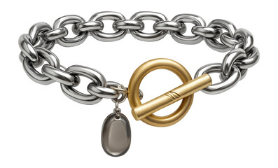 Fototapeta premium Chunky chain necklace with oversized toggle clasp
