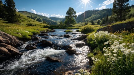 Sunlit mountain stream winding through lush green meadow with wildflowers and rocky banks under a bright blue sky