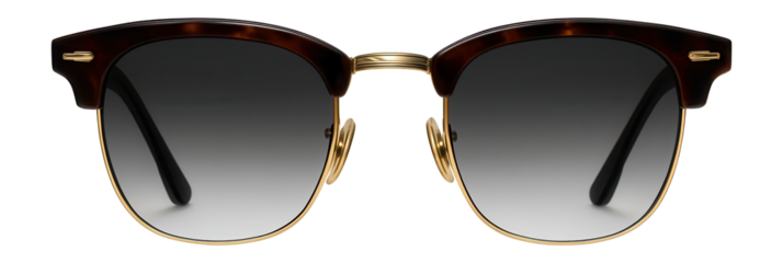 Clubmaster sunglasses with horn-rimmed browline and gold metal accents