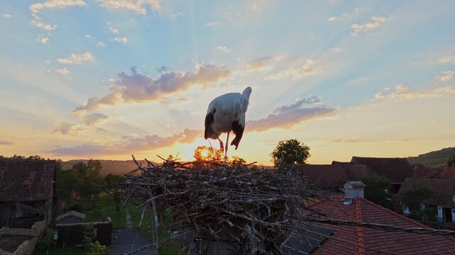 Aerial view of a stork nest in Viscri village, Romania. Viscri Village, famous travel destination in Romania. Authentic village with old houses. Single stork in the nest at sunset. Beautiful landscape
