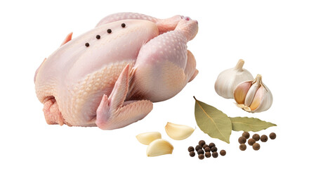 Isolated Raw Chicken