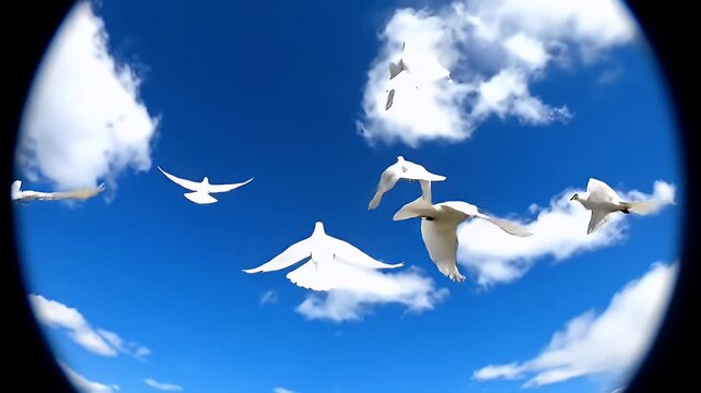 Fisheye View of White Birds Flying in Formation Against a Blue Sky with White Clouds