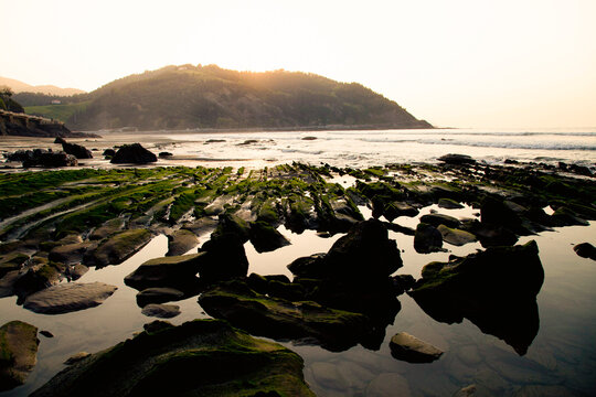 Coastal rocks and tidal pools at low tide under soft morning light on the Basque coast, Spain, revealing algae-covered stones and dramatic textures shaped by the sea.