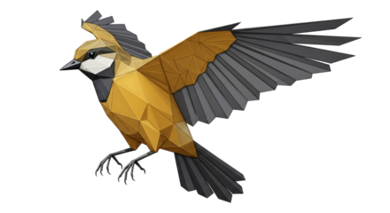 Isolated Bird