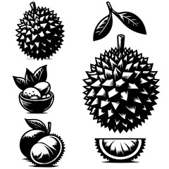 Illustration of durian fruits with leaves in various forms in black and white vector graphic style