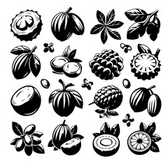 Collection of various exotic fruits and nuts in black and white vector graphic illustration style design