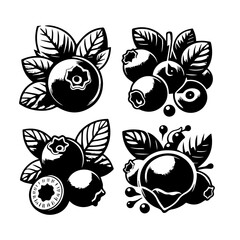 Illustration of four blueberry clusters with leaves in a black and white graphic style design element