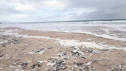 Toxic algal bloom at Christies Beach, South Australia. Foamy ocean waves crash onto the sandy shoreline, showcasing the effects of this natural phenomenon on marine life and the coastal environment.