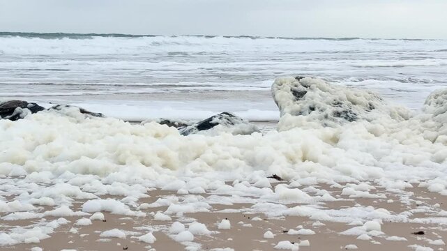 Toxic algal bloom foam blankets a South Australian beach, revealing critical environmental issues. This vision is perfect for documentaries or news highlighting marine pollution and ecological impact.