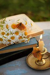 candlestick with burning candle, butterflies, old books and chamomile flowers on table in garden. close up. relax, reading time. romantic inspiration composition. close up. soft focus