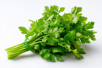 green parsley on white background
