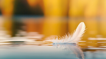 Delicate feather floats gracefully on calm water, reflecting soft colors of nature beauty