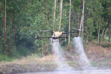 Drone Spraying Pesticide Over Agricultural Field with Green Trees