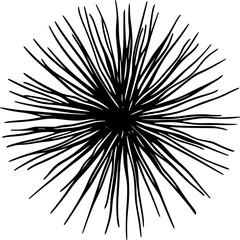 Obraz premium Sea Urchin Lineart Vector for Coloring Book