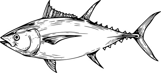 Tuna Fish Outline Vector for Logo and Coloring