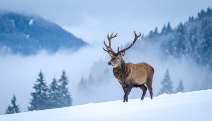 Majestic Stag in Winter Landscape with Antlers and Snowy Mountains