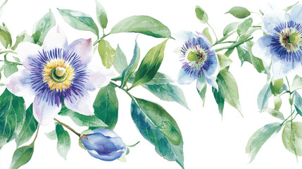 Watercolor botanical illustration of passionflower with vibrant colors and delicate leaves, showcasing nature beauty