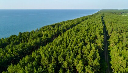 Naklejka premium Lush forest meets the ocean