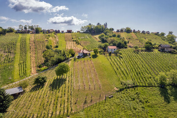 Aerial drone view of vineyard landscape in rural Lendava, Slovenia.