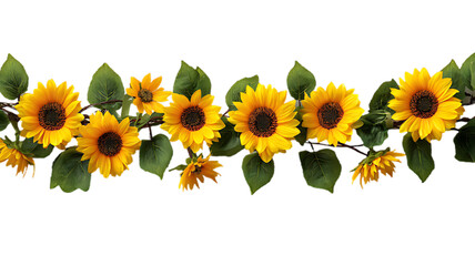 Beautiful sunflower garland isolated on transparent background