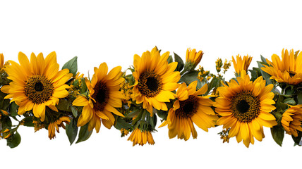 Beautiful sunflower garland isolated on transparent background