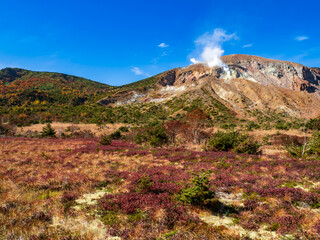 Fototapeta premium 栂平園地
