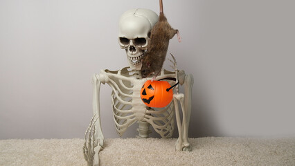 A human skeleton, an orange pumpkin and a brown rat.
