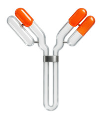 Synthetic antibody structure with labeled antigen-binding sites and constant region