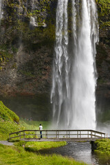 Picturesque Seljalandsfoss waterfall. Eyjafjalajokul zone landmark. South area. Iceland