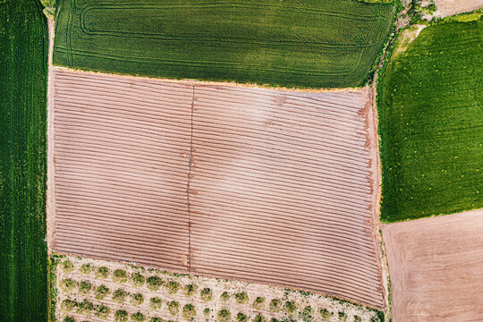 Aerial view of a plowed field bordered by other fields and an orchard, creating a geometric landscape