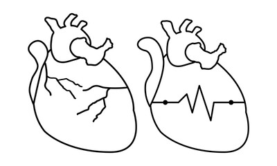 Outlined human heart icon in medical concept.