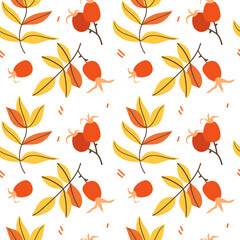 Seamless pattern with rosehip berries on a white background
