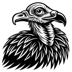 Fototapeta premium Stylized Black and White Vulture Head Illustration.
