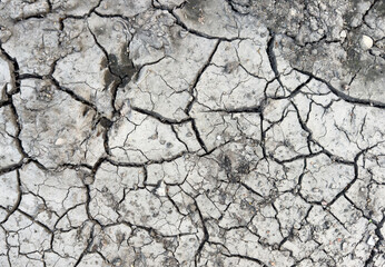 Dry cracked earth texture background. Clayey land dried out by drought. Cracked earth background. Global warming effect.