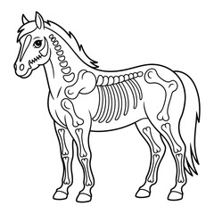 Cartoon horse skeleton outline illustration black and white coloring page 