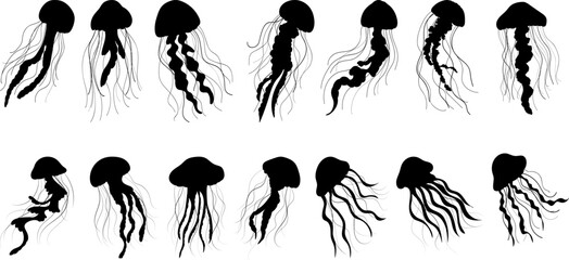 collection of jellyfish in different angles, silhouette, vector