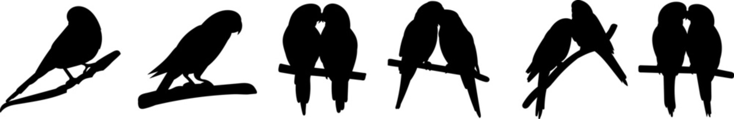 parrot sitting on a branch, parrot lovebirds, silhouette, vector