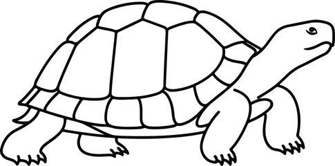 Silhouette turtle outline simple design cute animal vector Illustrator