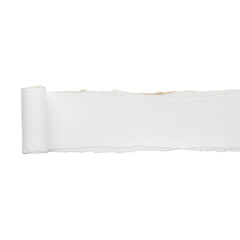Fototapeta premium Torn white paper banner with curled edge and copy space isolated PNG with Transparent Background