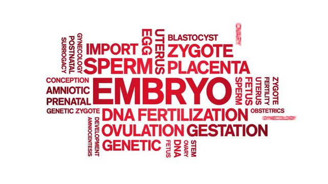 Embryo animated word cloud-text design animation tag kinetic typography seamless loop.