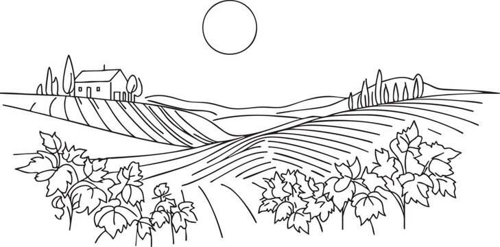Sketch vineyard simple landscape. Hand drawn monochrome vintage horizontal sketch